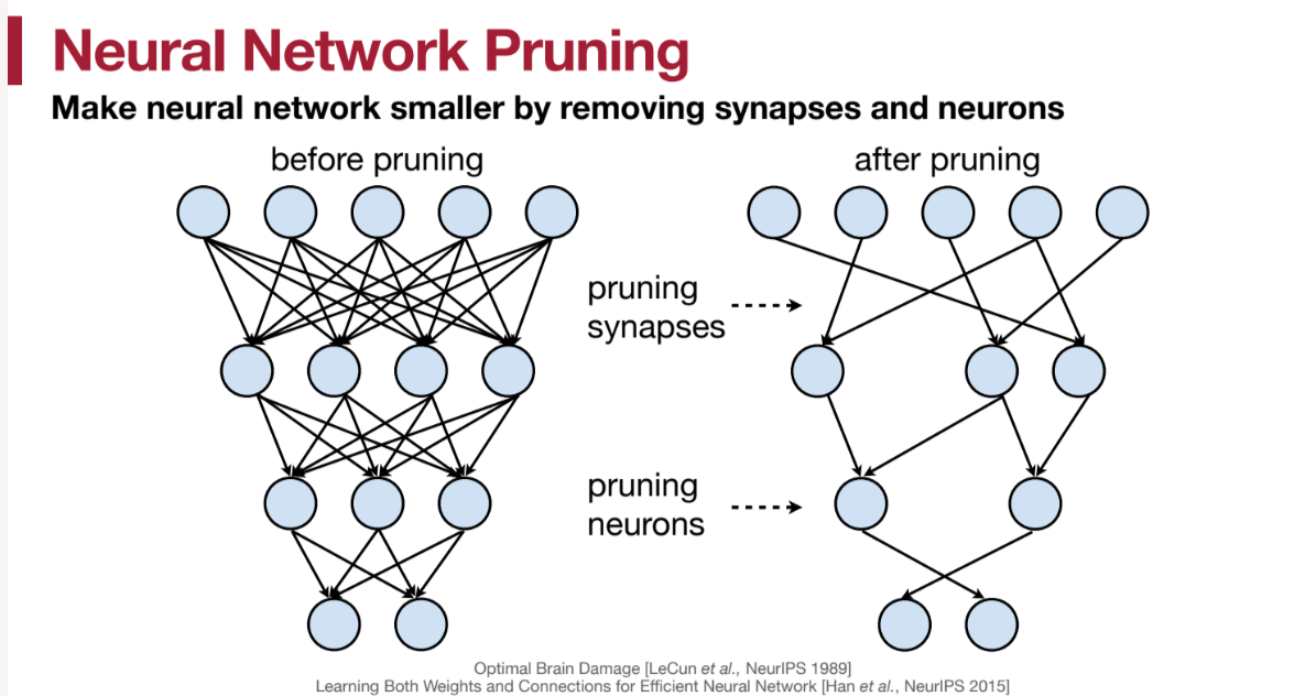 pruning